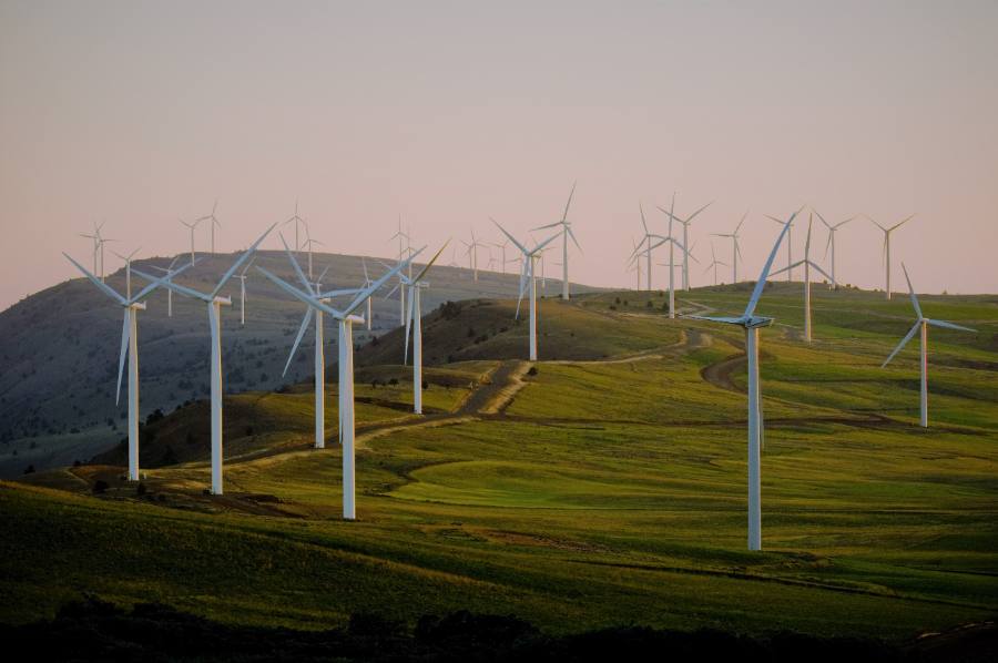 Wind turbines in a green landscape